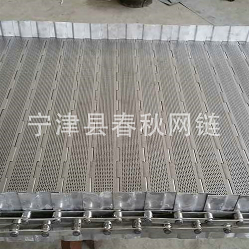 清洗机网链